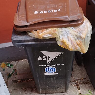 Fehl befüllte Biotonne