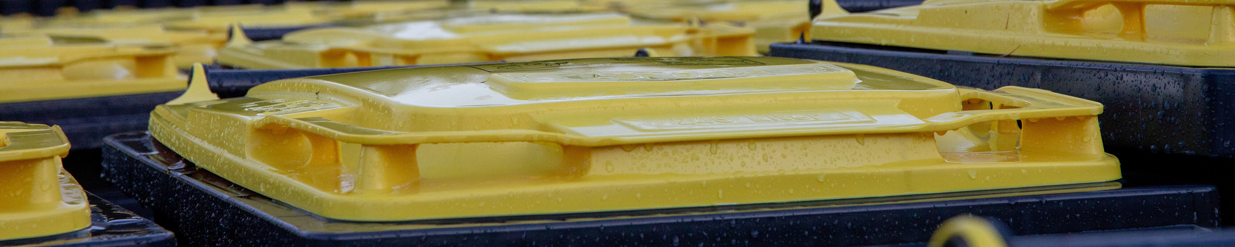 Bild Gelbe Tonne für Leichtverpackungen